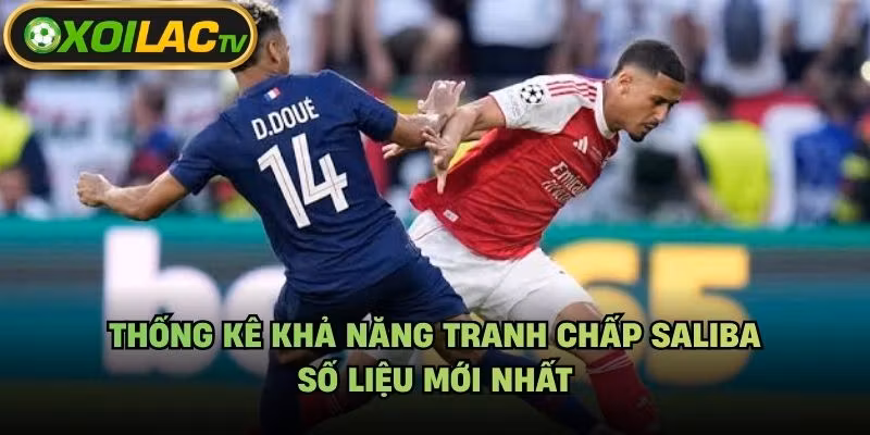 Thống Kê Khả Năng Tranh Chấp Saliba – Số Liệu Mới Nhất